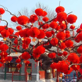 السنة الصينية الجديدة فانوس أحمر ، التنين الصيني السنة الديكور ، الفوانيس التقليدية ، ديكور الحائط ، ديكور الآسيوية ، 10 قطعة