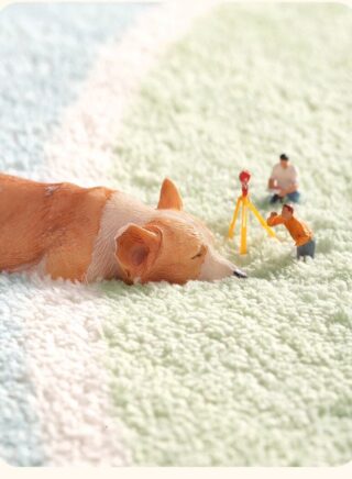 هاي هومي سجادة أرضية لغرفة النوم قابلة للغسل صوف سميكة