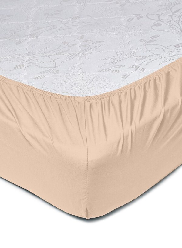 أمال Home Delight Fitted sheet set/3 Queen size – 100% Cotton Light Weight Everyday Use 144 TC High Quality 1 Bed Sheet 160×200+33cm, 2 Pillow Case 50x75cm – Beige Cotton Beige