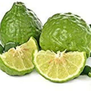 بذور إنبات: 20 بذرة Ambrosial Kaffir Lime Essential Oil (Citrus Hystrix) طبيعي 100%