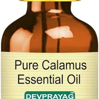 Devprayag Pure Calamus Essential Oil (Acorus calamus) with Glass Dropper Natural Therapeutic Grade Steam Distilled 50ml (1.69 oz)