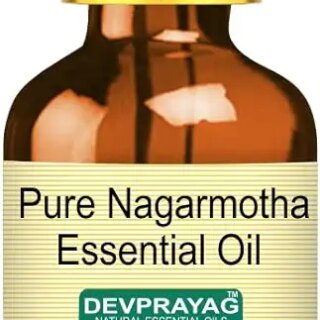 Devprayag Pure Nagarmotha Essential Oil (Cyperus scariosus) with Glass Dropper Natural Therapeutic Grade Steam Distilled 2ml (0.06 oz)