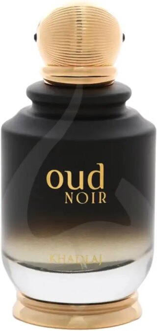 بخاخ عطر نوار او دي بارفان برائحة العود من خدلج، 100 مل، للجنسين 2
