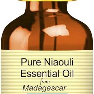 Devprayag Pure Niaouli Essential Oil (Melaleuca quinquenervia) with Glass Dropper Natural Therapeutic Grade Steam Distilled 2ml (0.06 oz)