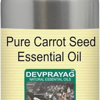 Devprayag Pure Carrot Seed Essential Oil (Daucus carota) Natural Therapeutic Grade Steam Distilled 300ml (10 oz)