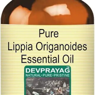 Devprayag Pure Lippia Origanoides Essential Oil (Lippia origanoides) Natural Therapeutic Grade Steam Distilled 2ml (0.06 oz)