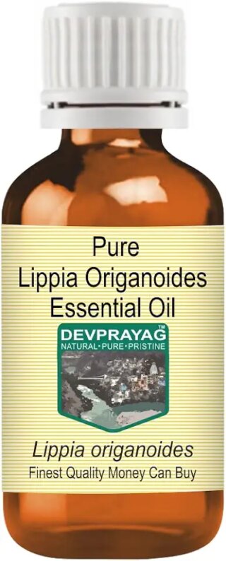 Devprayag Pure Lippia Origanoides Essential Oil (Lippia origanoides) Natural Therapeutic Grade Steam Distilled 2ml (0.06 oz)