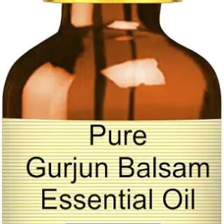 Devprayag Pure Gurjun Balsam Essential Oil (Dipterocarpus turbinatus) with Glass Dropper Natural Therapeutic Grade Steam Distilled 100ml (3.38 oz)