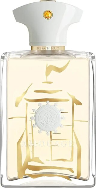 عطر بيتش هت مان للرجال من امواج – او دي بارفان، 100 مل