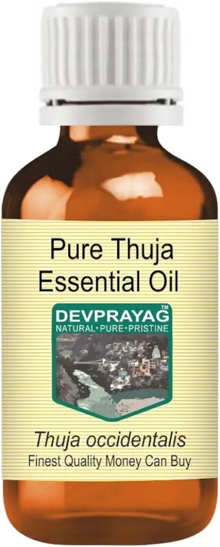Devprayag Pure Thuja Essential Oil (Thuja occidentalis) Natural Therapeutic Grade Steam Distilled 5ml (0.16 oz)
