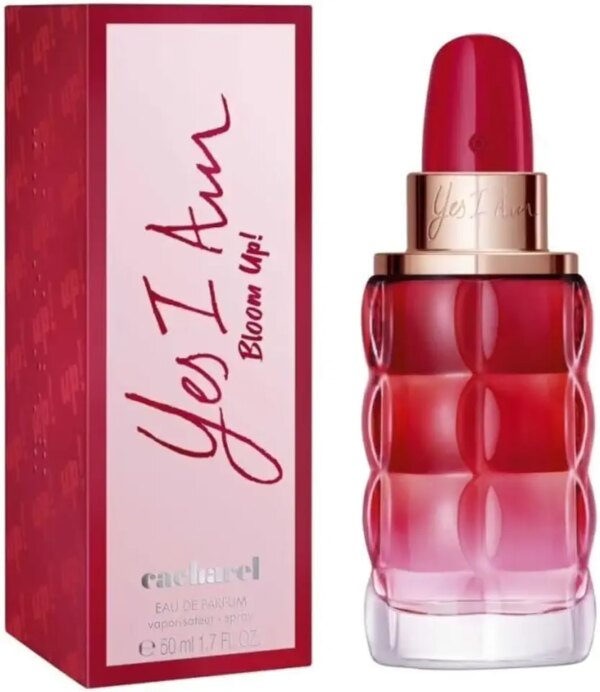 عطر يس اي ام بلوم اب للنساء من كاشاريل، او دي بارفان، 50 مل