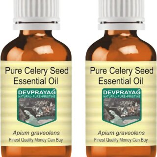 Devprayag Pure Celery Seed Essential Oil (Apium graveolens) Natural Therapeutic Grade Steam Distilled (Pack of Two) 100ml X 2 (6.76 oz)