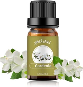 زيت الغاردينيا العطري، زيوت عطرية نقية 100%، زيوت عطرية طبيعية غير مخففة للمرطب والعناية المنزلية وصنع الشموع، 10 مل (زجاجة بني)