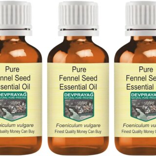 Devprayag Pure Fennel Seed Essential Oil (Foeniculum vulgare) Natural Therapeutic Grade Steam Distilled (Pack of Three) 100ml X 3 (10 oz)