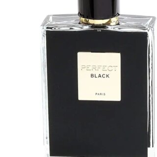 جيبرليز – عطر بيرفكت بلاك للرجال سعة 100 مل *CRT-48